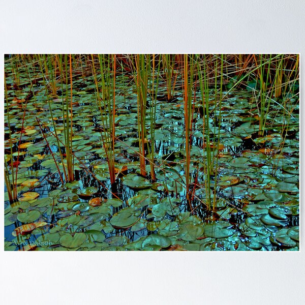 Item preview, WET TRUE NATURE designed and sold by Nira Dabush.