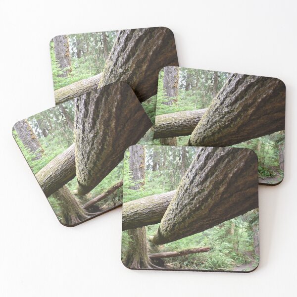 Item preview, Fallen trees designed and sold by Artlajf.