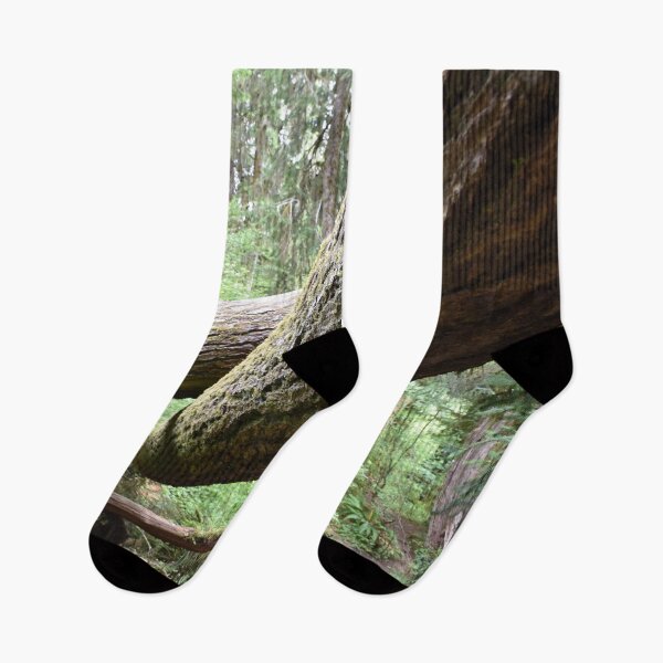 Item preview, Fallen trees designed and sold by Artlajf.
