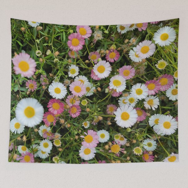 Item preview, Pink and white daisy photograph designed and sold by markstones.