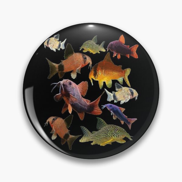 Item preview, Corydoras Collage designed and sold by GFishy.