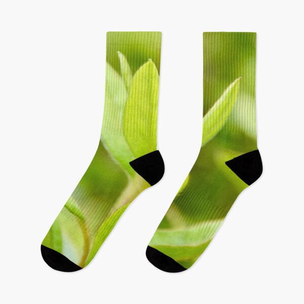Item preview, Dreamy Lush Green Leaves - Nature designed and sold by joejiing.