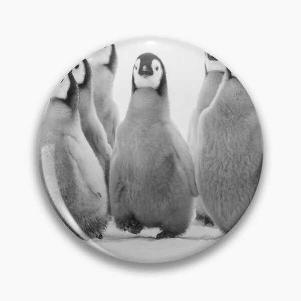 Item preview, Emperor Penguin Chicks designed and sold by cmm1234.