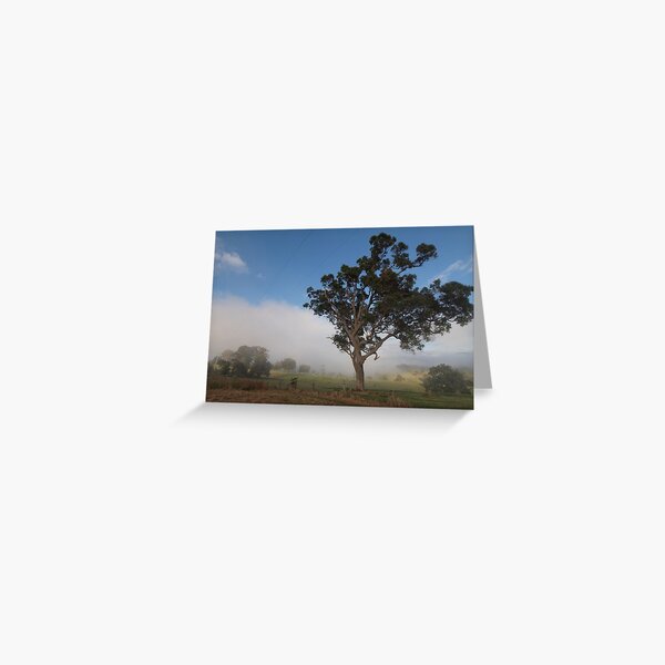 Item preview, Bega morning  designed and sold by Tom McDonnell.