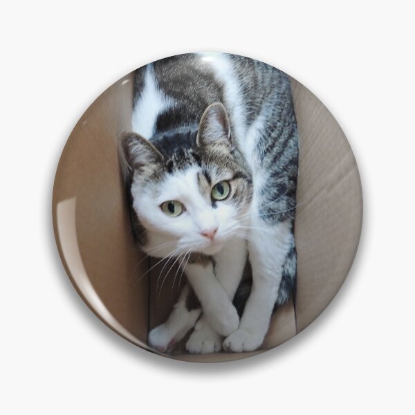 Item preview, Believe Me, I like Being Squashed designed and sold by Alexandra Lavizzari.