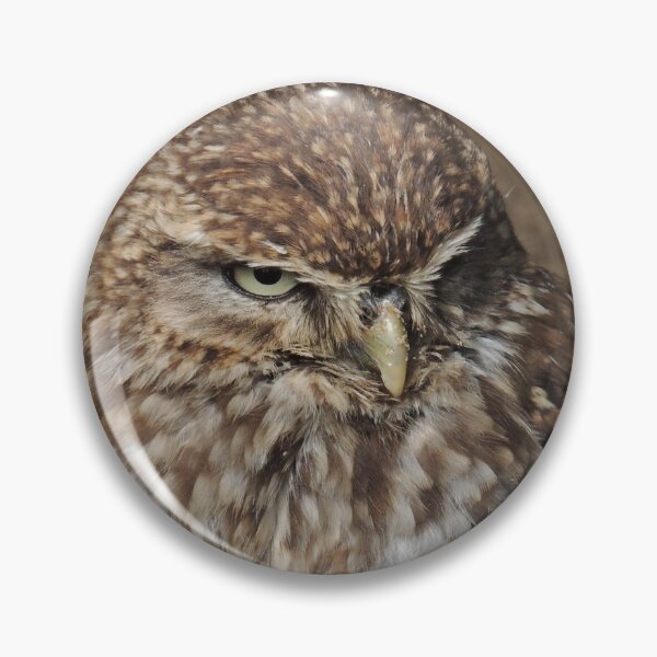Item preview, Little Owl designed and sold by Alexandra Lavizzari.