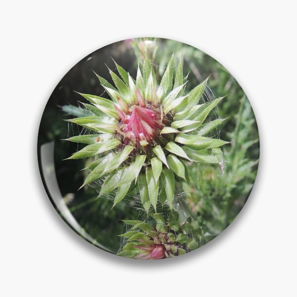 Item preview, Alpine Thistle designed and sold by Alexandra Lavizzari.
