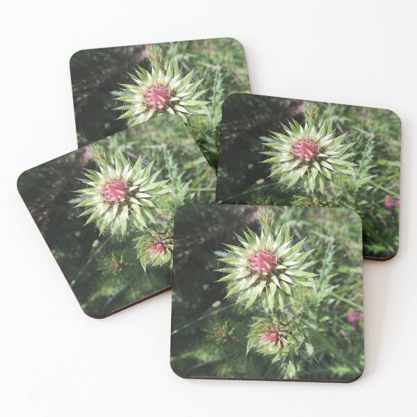 Item preview, Alpine Thistle designed and sold by Alexandra Lavizzari.