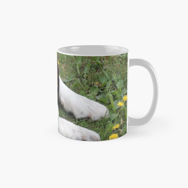 Item preview, Sleeping or Smelling the Dandelions? designed and sold by Alexandra Lavizzari.