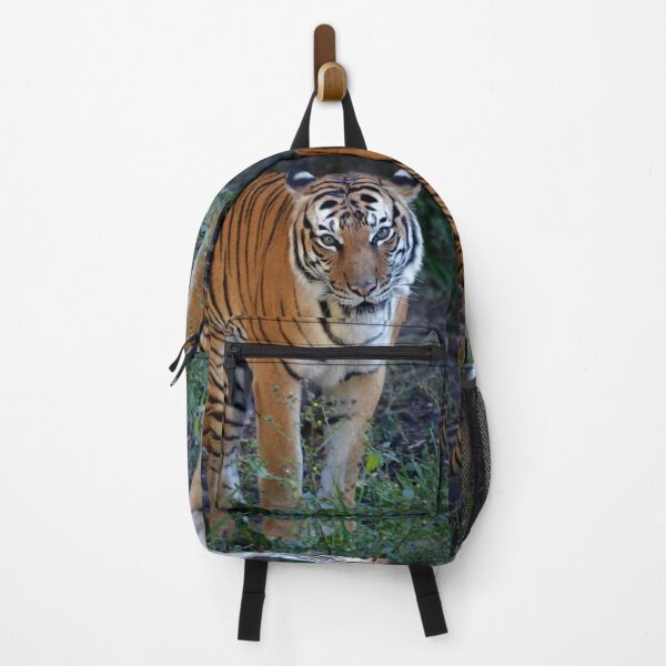 Item preview, Malayan Tiger designed and sold by Savannah Gibbs.