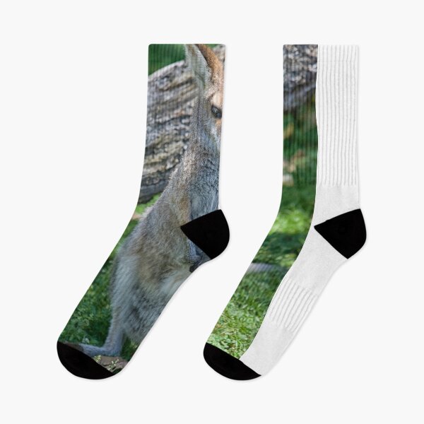 Item preview, Kangaroo designed and sold by Photopat.