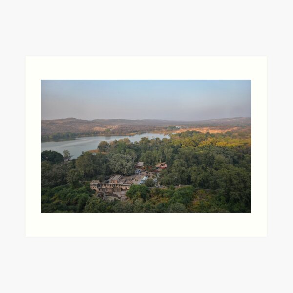 Ranthambore from the Fort Art Print