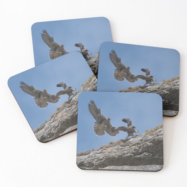 Item preview, Peregrine Falcons designed and sold by Derren Jones.