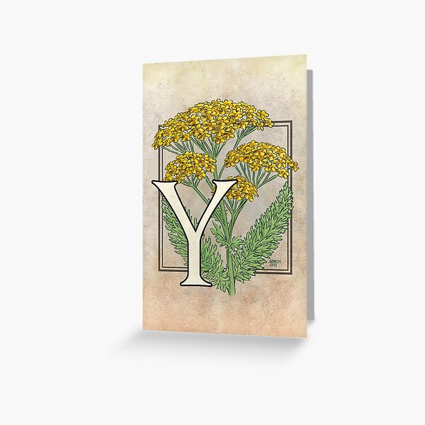 Y is for Yarrow card Greeting Card