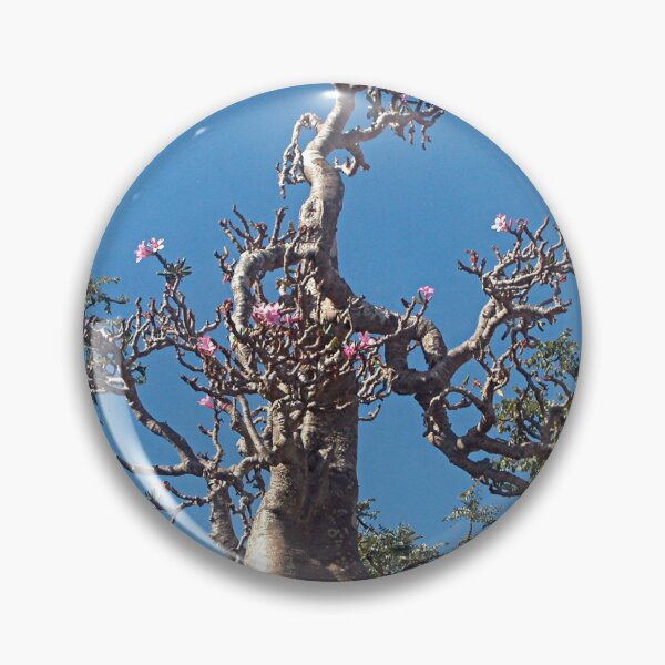 Item preview, Desert Rose Tree Closeup, Socotra Island designed and sold by worldways.