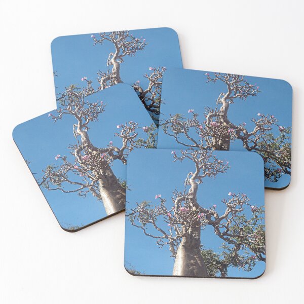 Item preview, Desert Rose Tree Closeup, Socotra Island designed and sold by worldways.