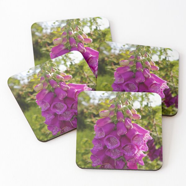 Item preview, Blooming Foxgloves designed and sold by dredfell.