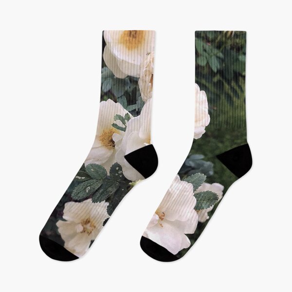 Item preview, Cute burnet roses designed and sold by vieno.