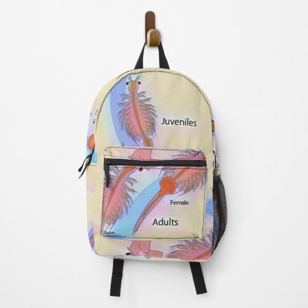 Item preview, Life Cycle of Brine Shrimp designed and sold by funhousejen.