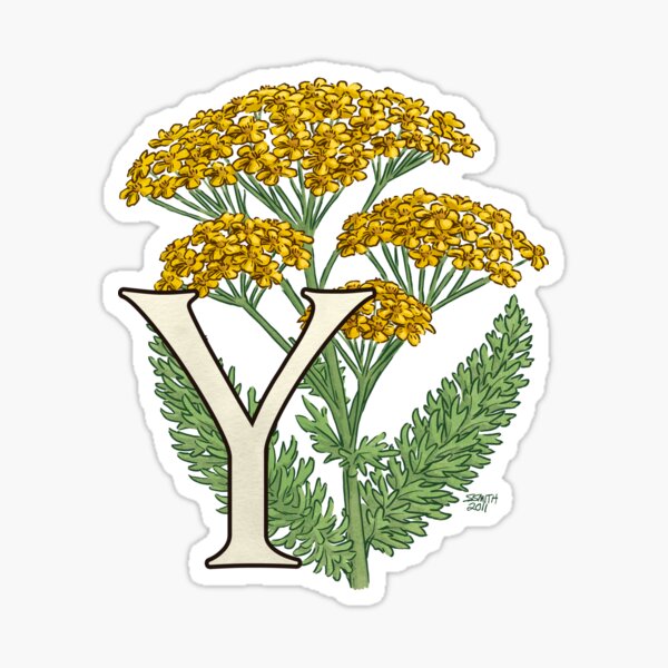 Y is for Yarrow floating Sticker