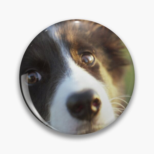 Item preview, Puppy Bob designed and sold by Michael Haslam.