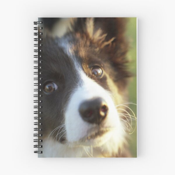Item preview, Puppy Bob designed and sold by Michael Haslam.