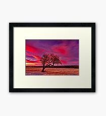 "Evening Solitude" Framed Print