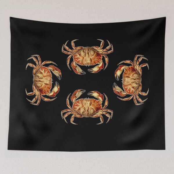 Item preview, Hand Drawn Crab  designed and sold by darwinsworld.