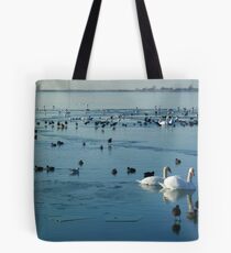 The Conquest of Water Tote Bag