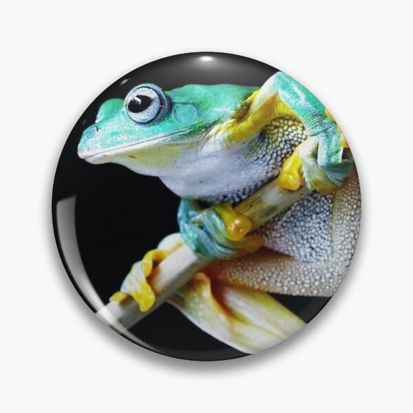 Item preview, Green Yellow Frog Photo Nature Photography Frog Lovers Dumpy Black Eyed Pet Amphibian designed and sold by TheGreekGuy.