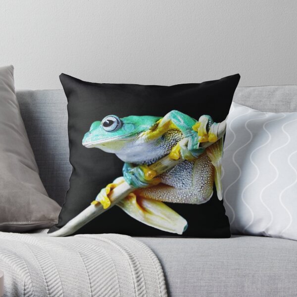 Dumpy Tree Frog Pillows & Cushions for Sale