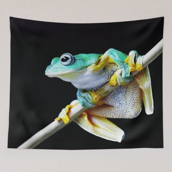Item preview, Green Yellow Frog Photo Nature Photography Frog Lovers Dumpy Black Eyed Pet Amphibian designed and sold by TheGreekGuy.