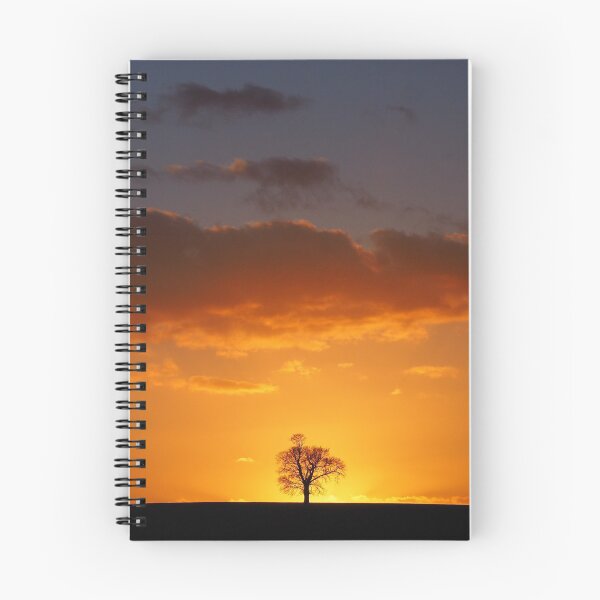 Item preview, Isolating tree designed and sold by asbennettadam.