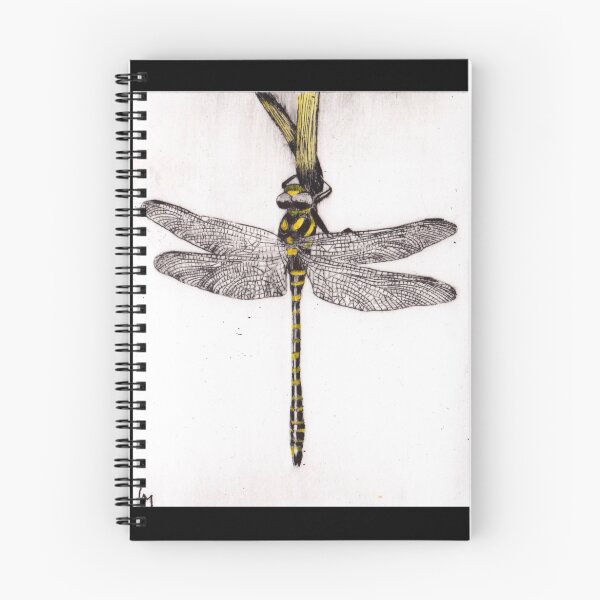 Item preview, Golden-Ringed Dragonfly designed and sold by Lauren McGregor.