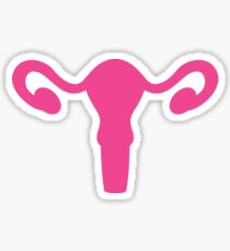 The uterus and ovaries Woman reproductive system Sticker