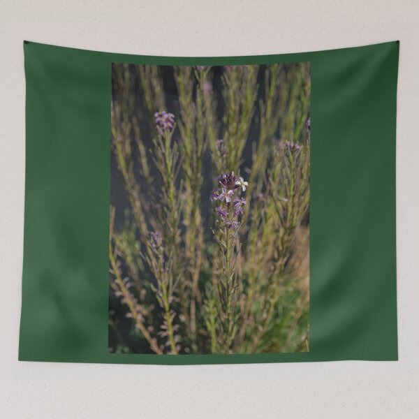 Item preview, Teide wallflower designed and sold by Martin Leber.