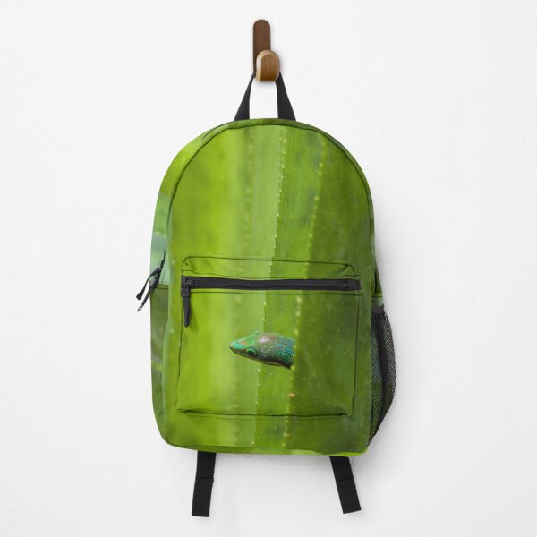 Item preview, Peekaboo! A gecko in the agave designed and sold by vfphoto.