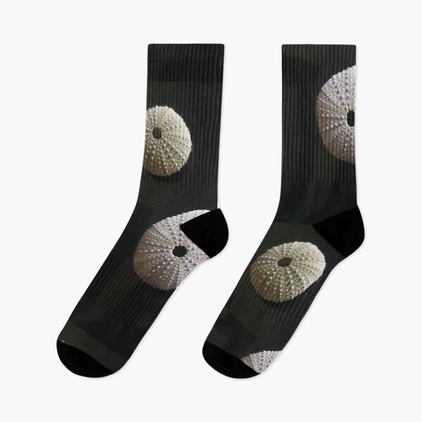 Item preview, Shell designed and sold by Hamsai.
