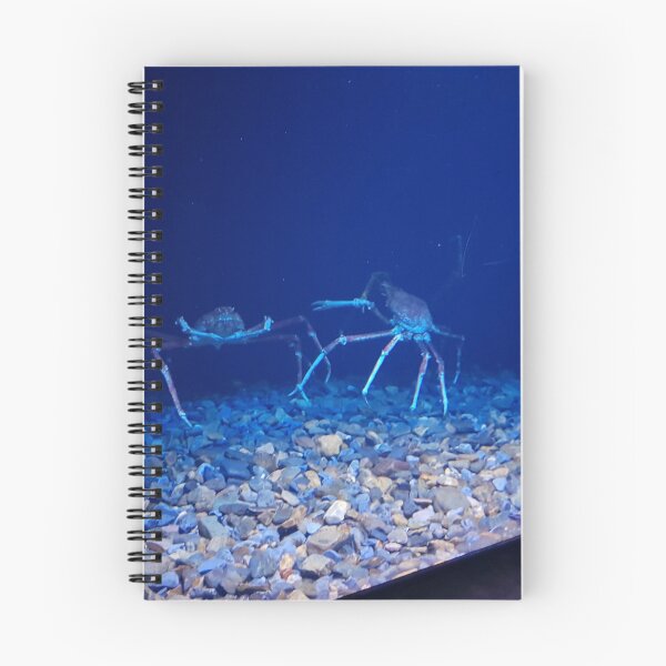 Item preview, Crabs Underwater designed and sold by AJ505.