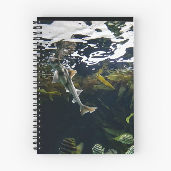 Item preview, Fish Underwater designed and sold by AJ505.
