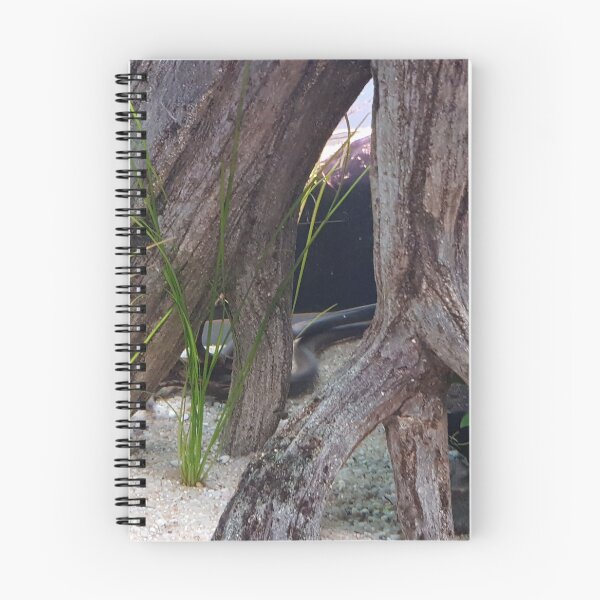 Item preview, Tree with Grass designed and sold by AJ505.