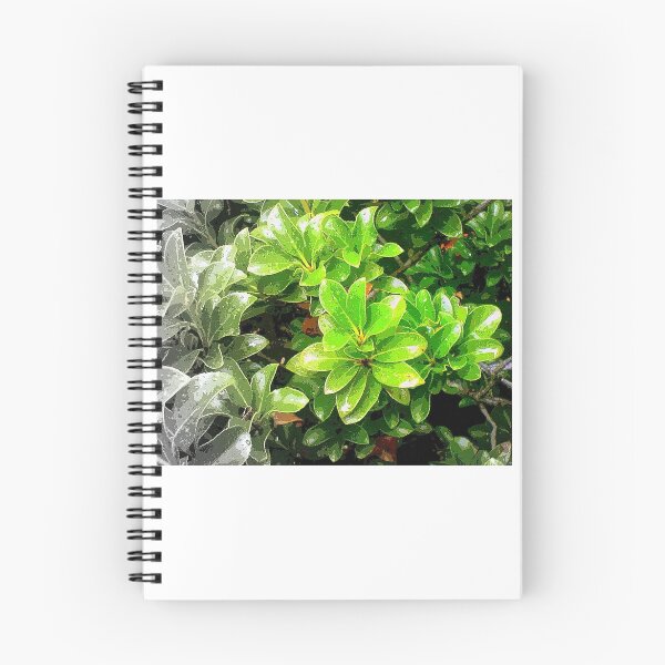 Item preview, A Vibrant Transition designed and sold by Andy Rhodes Art.