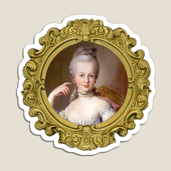 Portrait Of Marie Antoinette of Austria by Martin van Meytens