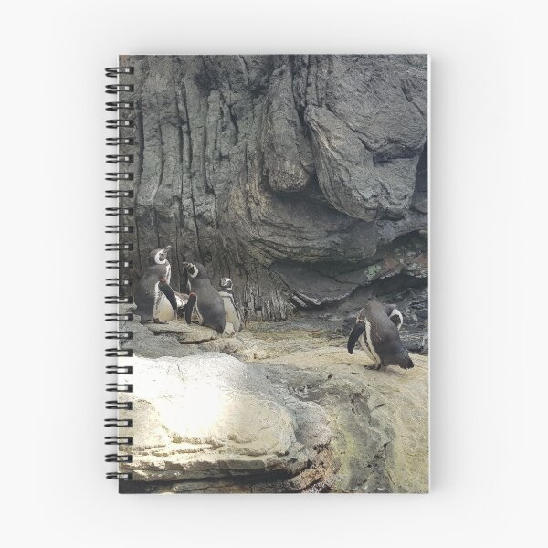 Item preview, Penguins on Rocks designed and sold by AJ505.