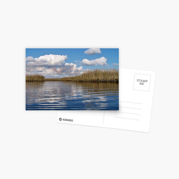 Sawgrass Water and clouds Postcard