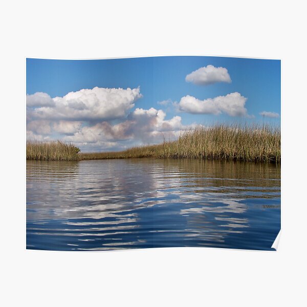 Sawgrass Water and clouds Poster