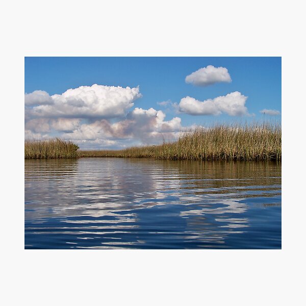 Sawgrass Water and clouds Photographic Print
