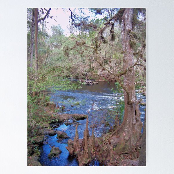 Item preview, Hillsborourgh River State Park, River designed and sold by William  Boyer.