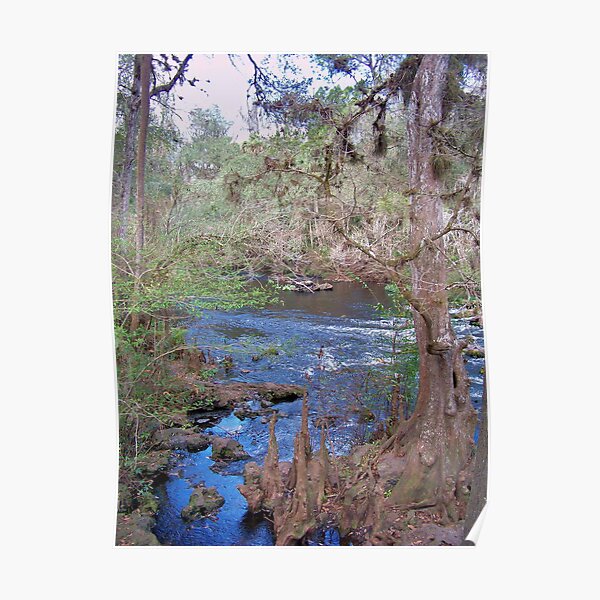 Hillsborourgh River State Park, River Poster