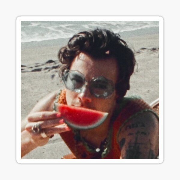 harry style /watermelon sugar Sticker